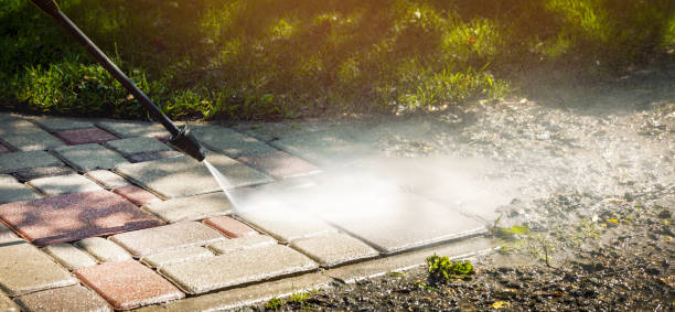 Animal Enclosure Cleaning in Slatington, PA